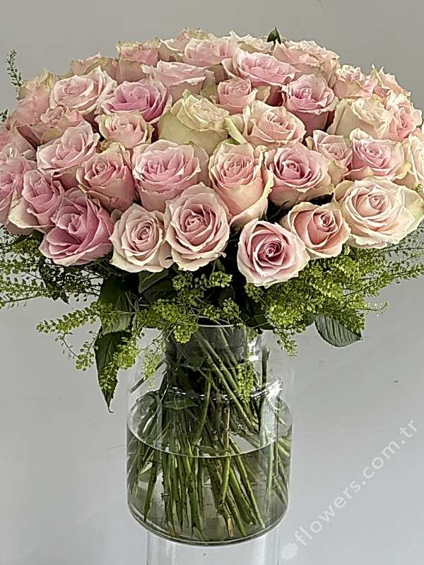 Grand Light Pink Roses