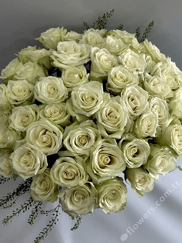 Grand White Roses