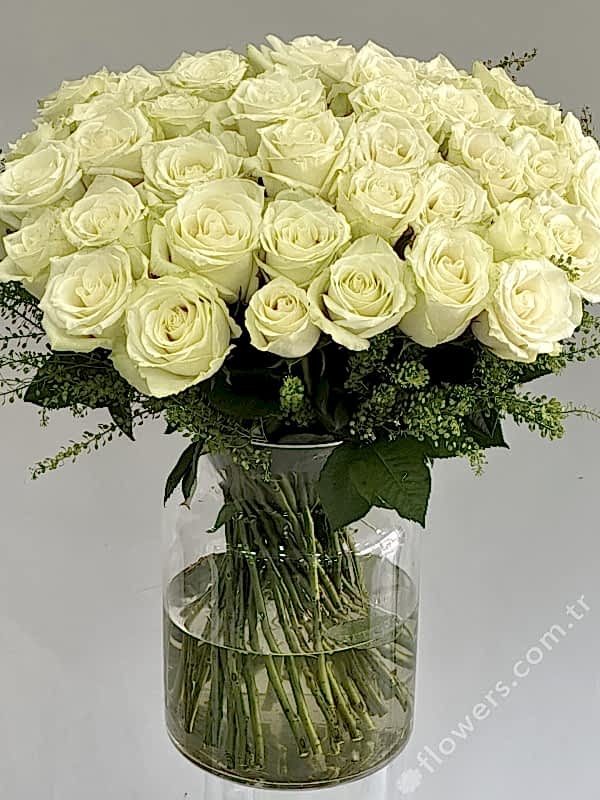 Grand White Roses