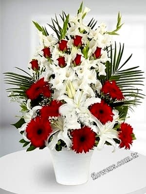 Majestic Red & White Arrangement 