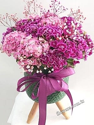 Sweet William Flowers In Vase