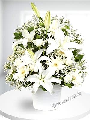 Happy Day White Flower Arrangement