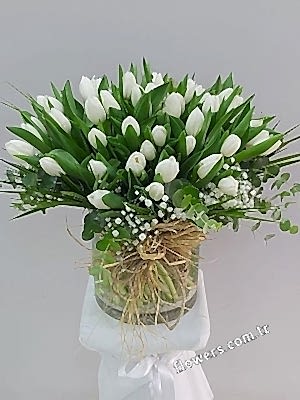50 White Tulips Vase Arrangement
