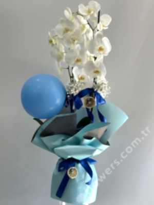 Welcome Baby Boy Orchid