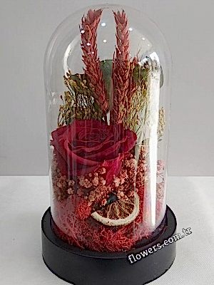 Unfading Red Rose In Decorative Glass Fanus