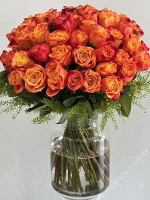 Grand Orange Rose
