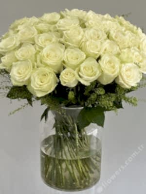 Grand White Roses
