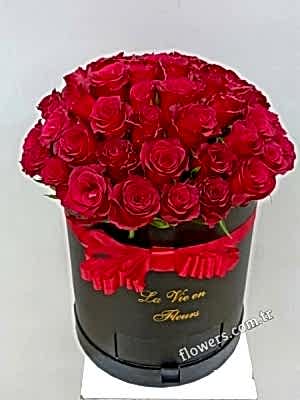 Ravishing 51 Red Roses