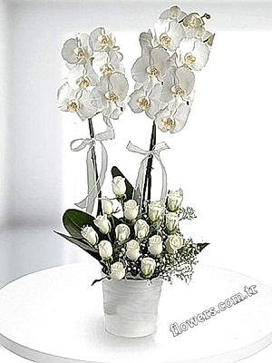 White Orchid and Rose Arrangement