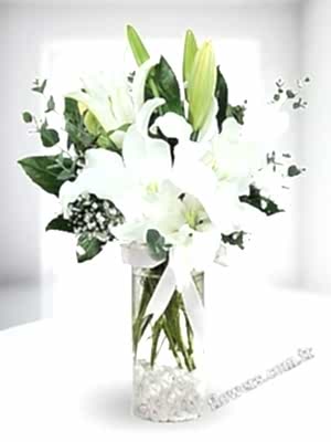 White Lilies In Vase