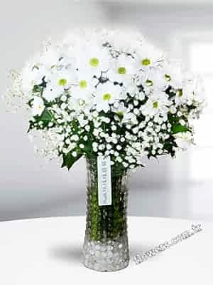 Stunning Daisies In Vase