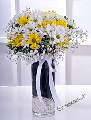Yellow & White Daisy Arrangement